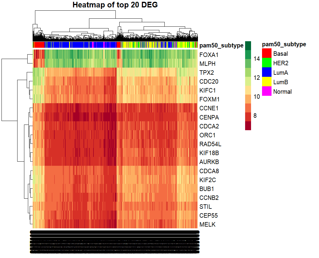 Clustered heatmap of the top 20 differentially expressed genes across all tumours, green for high expression and red for low, with a colour bar for PAM50 subtype; a low-proliferation block of Luminal A and Normal-like tumours sits apart from a high-proliferation block of Luminal B, HER2 and Basal, and FOXA1 and MLPH drop only under the Basal stripes